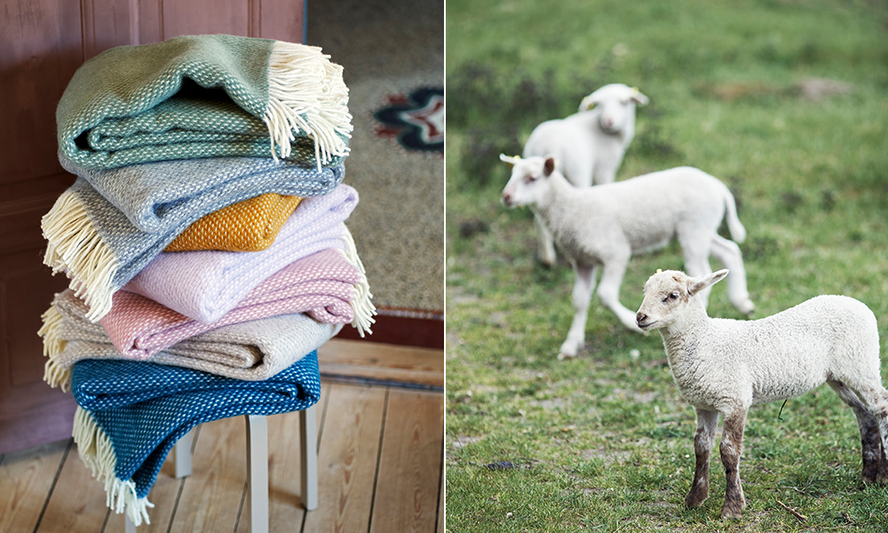 Preppy Wolldecken aus 100% Lammwolle von Klippan aus Schweden