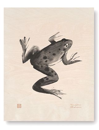Teemu Jarvi llustration auf Sperrholz - Frog Plywood Poster - Frosch