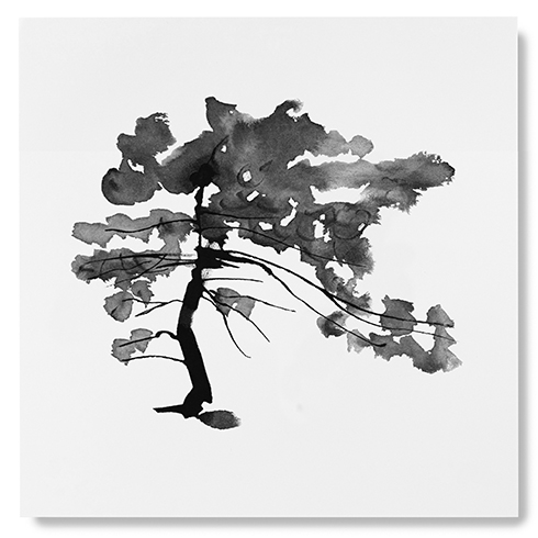 Teemu Järvi Illustrations - Pine Tree Poster - Die Pinie