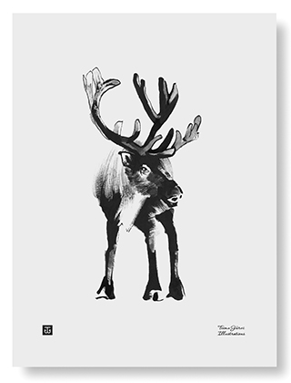 Teemu Järvi Illustrations - Forest Reindeer Poster - Der Rentier