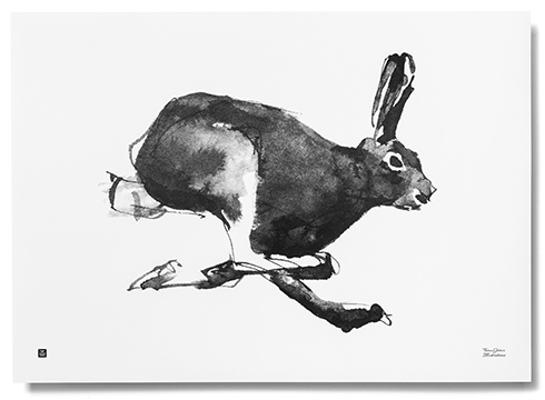 Teemu Järvi Illustrations - Mountain Hare Poster - Der Berghase