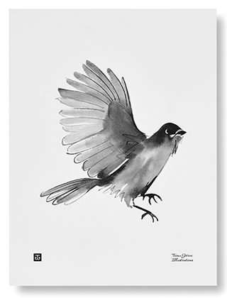 Teemu Järvi Illustrations - Siberian Jay Poster - Der Unglückshäher - Der Finnische Glücksvogel