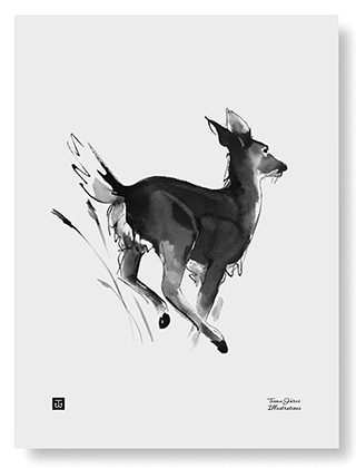 Teemu Järvi Illustrations - White-Tailed Deer Poster - Der Weißwedelhirsch