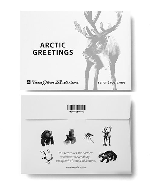 Arctic Greetings 6er-Set Postkarten - Teemu Järvi