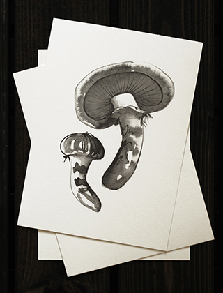 Wild Mushroom - Matsutake Postkarte A5 von Teemu Järvi