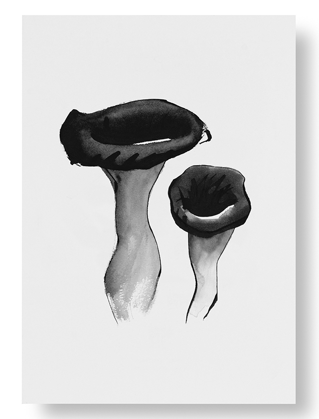 Teemu Järvi Illustrations - A5 Kunstpostkarte - Black Trumpet - Die Herbsttrompete