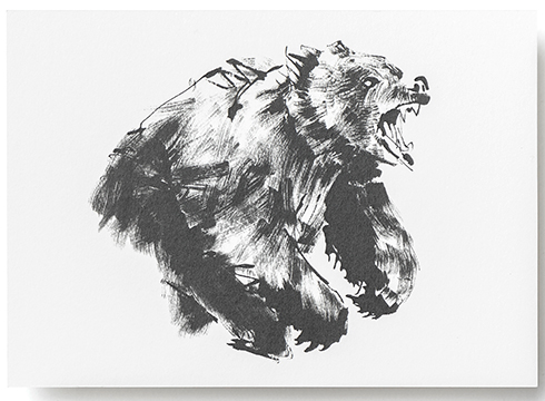 Teemu Järvi Illustrations - Postkarte - Brown Bear - Der Braunbär