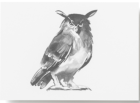 Teemu Järvi Illustrations - Postkarte - Eagle Owl- Der Uhu