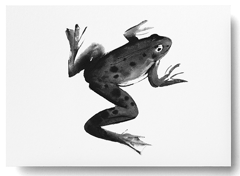 Teemu Järvi Illustrations - Postkarte - Frog - Der Frosch