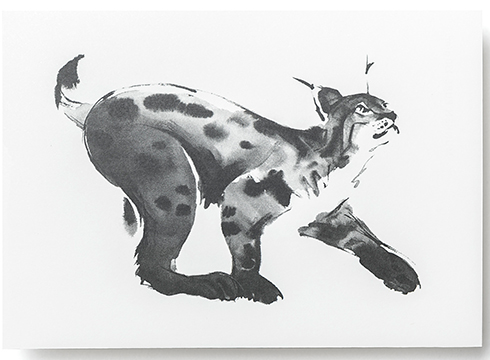 Teemu Järvi Illustrations - Postkarte - Lynx - Der Luchs