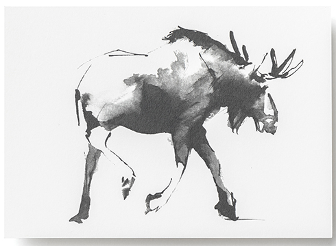 Teemu Järvi Illustrations - Postkarte - Moose - Der Elch