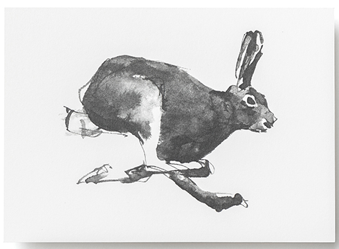 Teemu Järvi Illustrations - Postkarte - Mountain Hare - Der Berghase