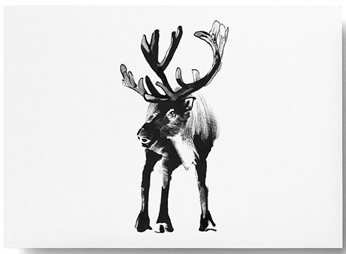 Teemu Järvi Illustrations - Postkarte - Reindeer - Das Rentier