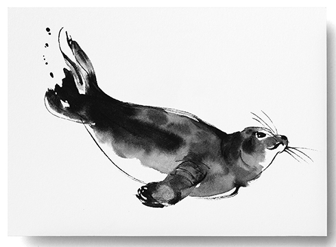 Teemu Järvi Illustrations - Postkarte - Ringed Seal - Die Ringelrobbe