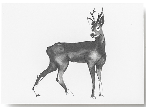Teemu Järvi Illustrations - Postkarte - Roe Deer - Das Reh